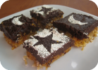chocolate coconut squares