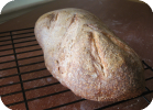 my first sourdough